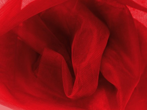 elastycz N czerwony.jpg