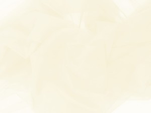 Tiul miękki 3,2 m kremowy (jasnokremowy)